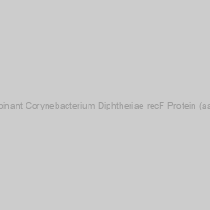 Image of Recombinant Corynebacterium Diphtheriae recF Protein (aa 1-397)